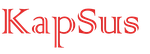 Kapsus Engineerings